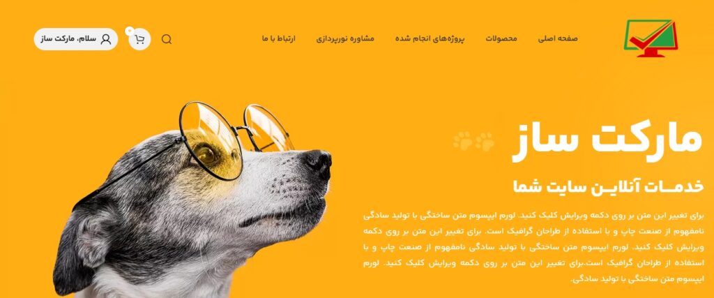 نمونه سایت کد 10